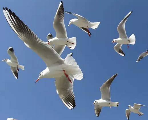 昆明西双版纳旅游｜昆明普洱版纳双飞6天5晚之旅｜准四酒店+特色准五酒店