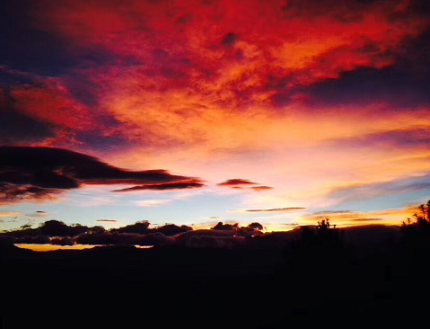 西双版纳纯玩游多少钱|西双版纳野象谷+原始森林公园+望天树或万达乐园+大佛寺 或勐仑植物园+傣族园游|（邂逅版纳）