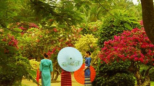 畅游版纳《抚仙湖墨江北回归线公园野象谷澜沧江游轮告庄6天5晚游》