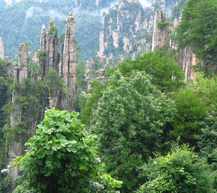 东北旅游必去地方|哈尔滨亚布力滑雪威虎寨中国雪乡北方三亚湾雪地真温泉6天游 |高端定制五星品质|0购物0自费|一价全含