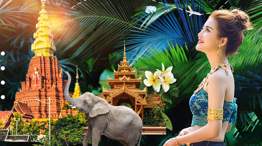 雨林版纳高铁4日游【高铁往返】