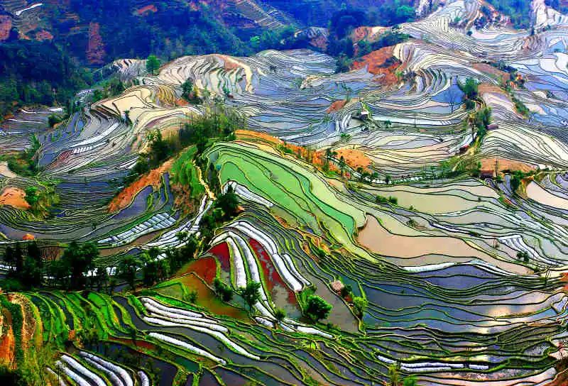 澄江-建水-元阳-蒙自-弥勒5天深度游