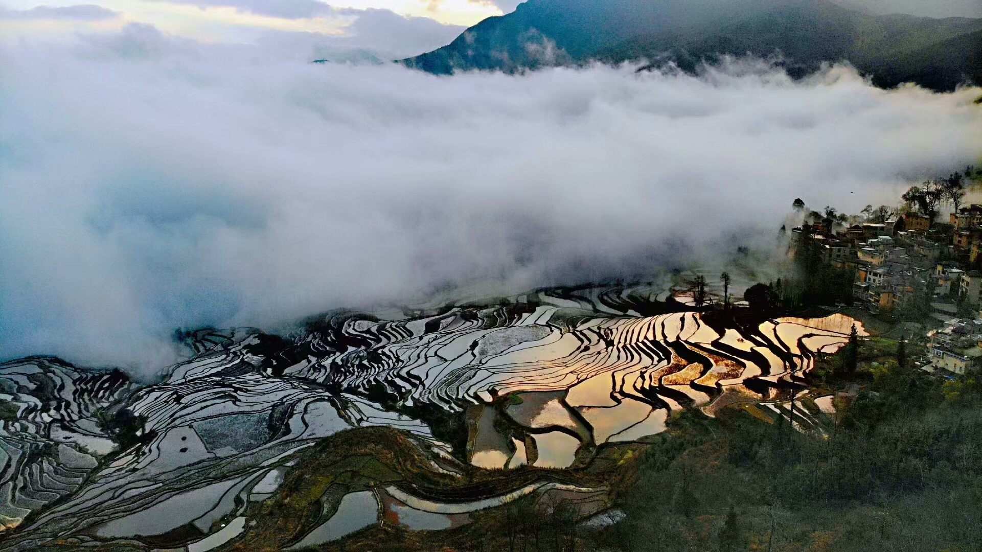 微信图片_20210816141618