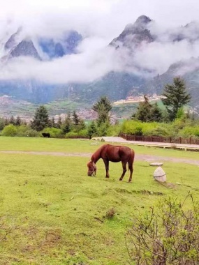 阿联酋四大酋长国广州往返四飞8天